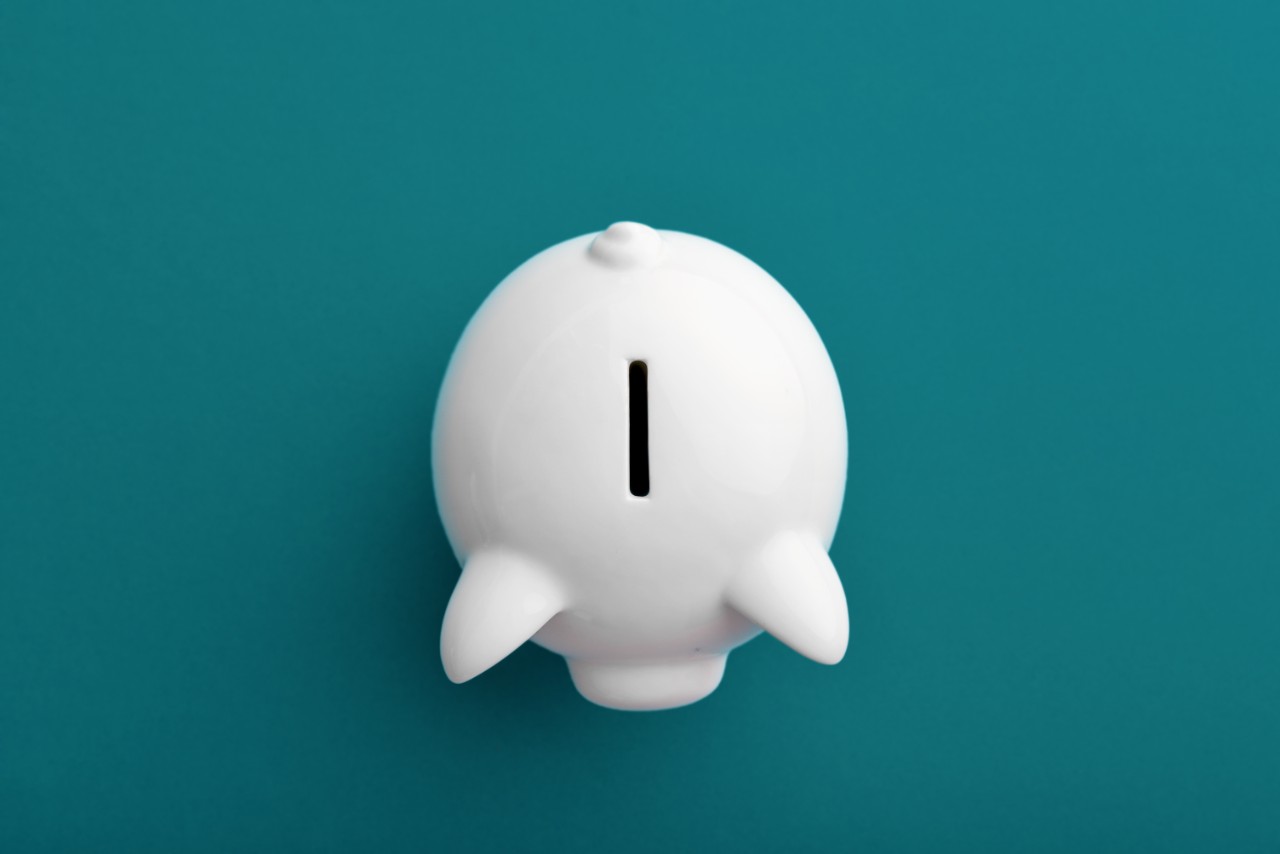 A white piggy bank on a teal background.